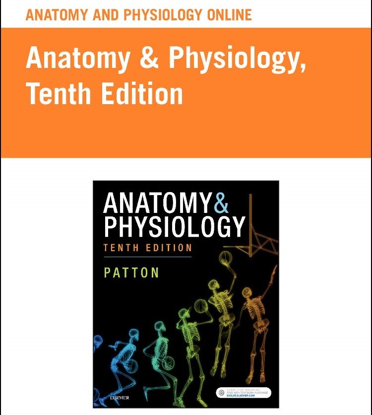 Anatomy and Physiology 10th Edition Online