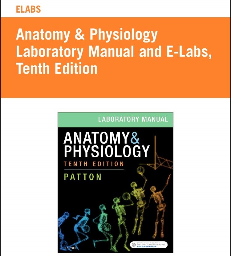 Anatomy and Physiology: Laboratory Manual 10th Edition Online