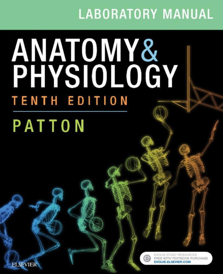 Anatomy and Physiology: Laboratory Manual 10th Edition